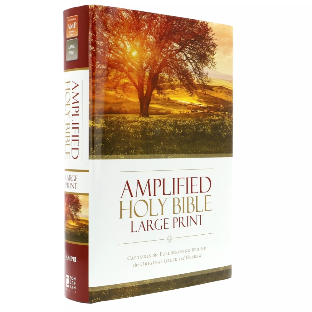 New Never Used! Amplifier Bible Large Print Hardback